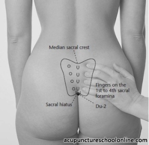 The anatomical location of the sacrum.